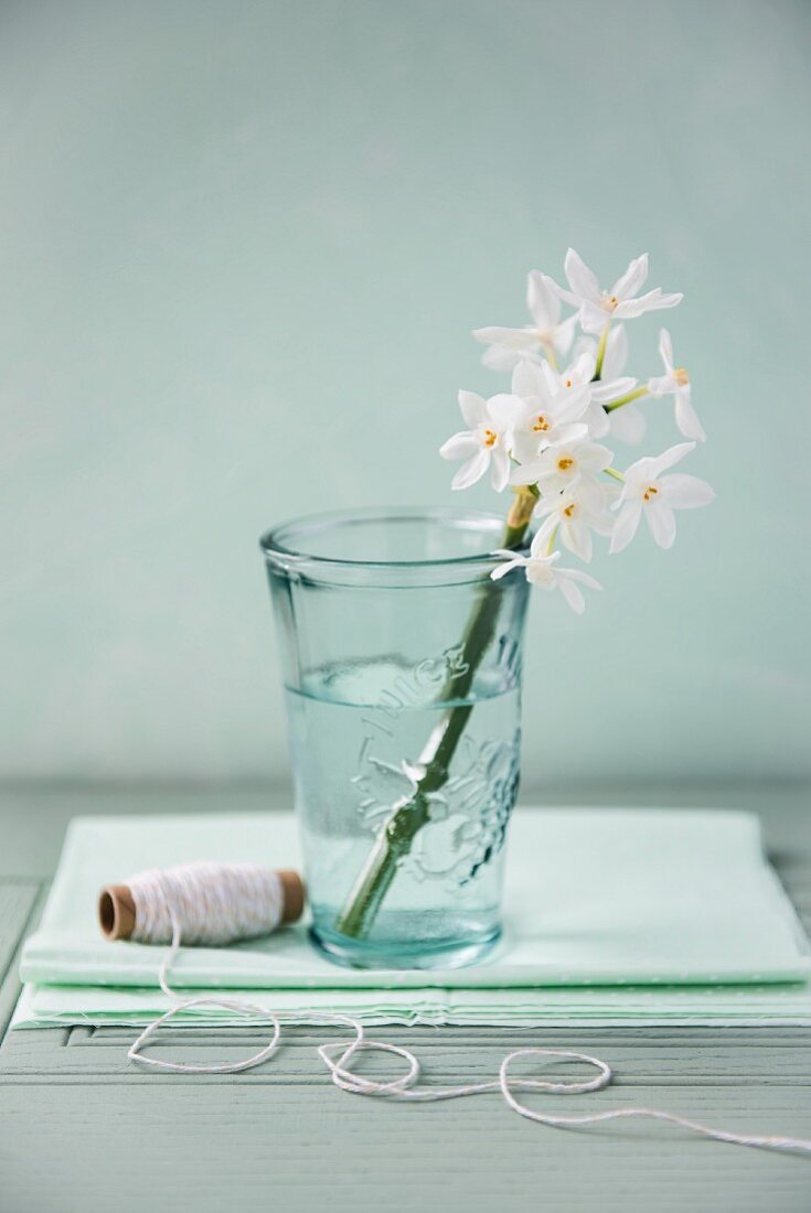 weiße Blumen am Stiel im Wasserglas, daneben Garnrolle