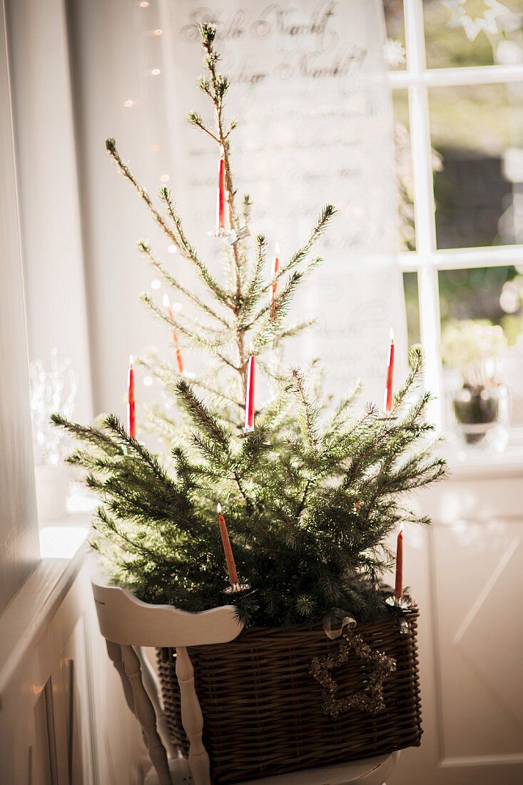 Schlichter Weihnachtsbaum mit roten Kerzen in einem Korb