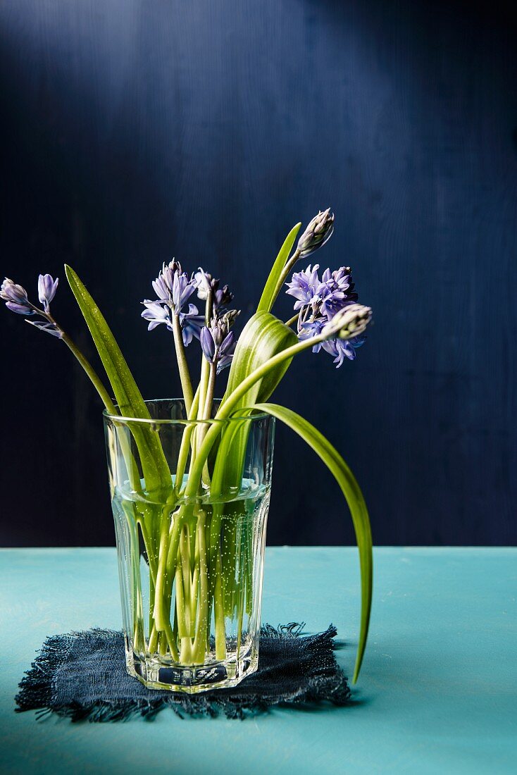 Bluebells in a glass of water and blue napkin