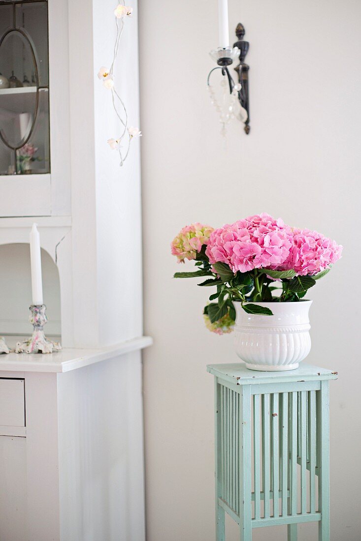 Rosa Hortensien in weißem Übertopf auf pastellgrünem Blumenständer im Fiftystil