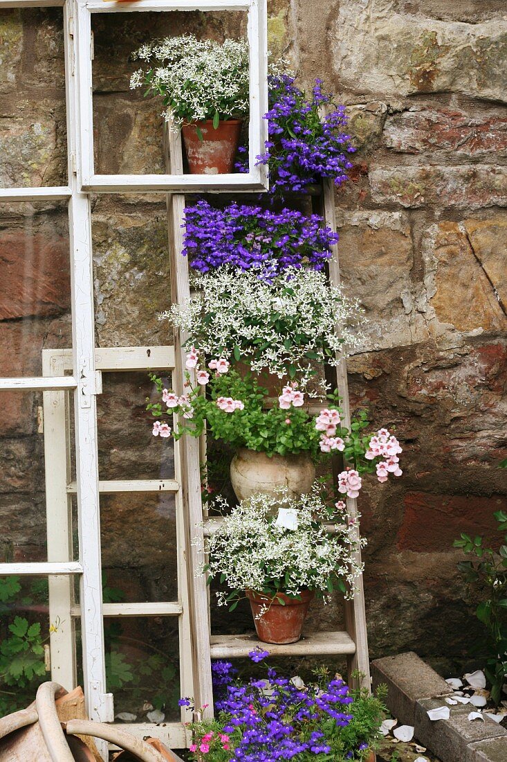 Dekorative Blumenleiter an rustikaler Gartenmauer