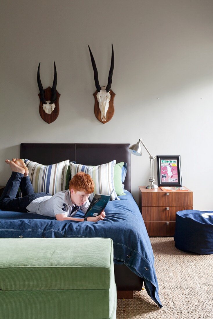 Lesender Junge auf Bett, über Bettkopfteil zwei Jagdtrophäen
