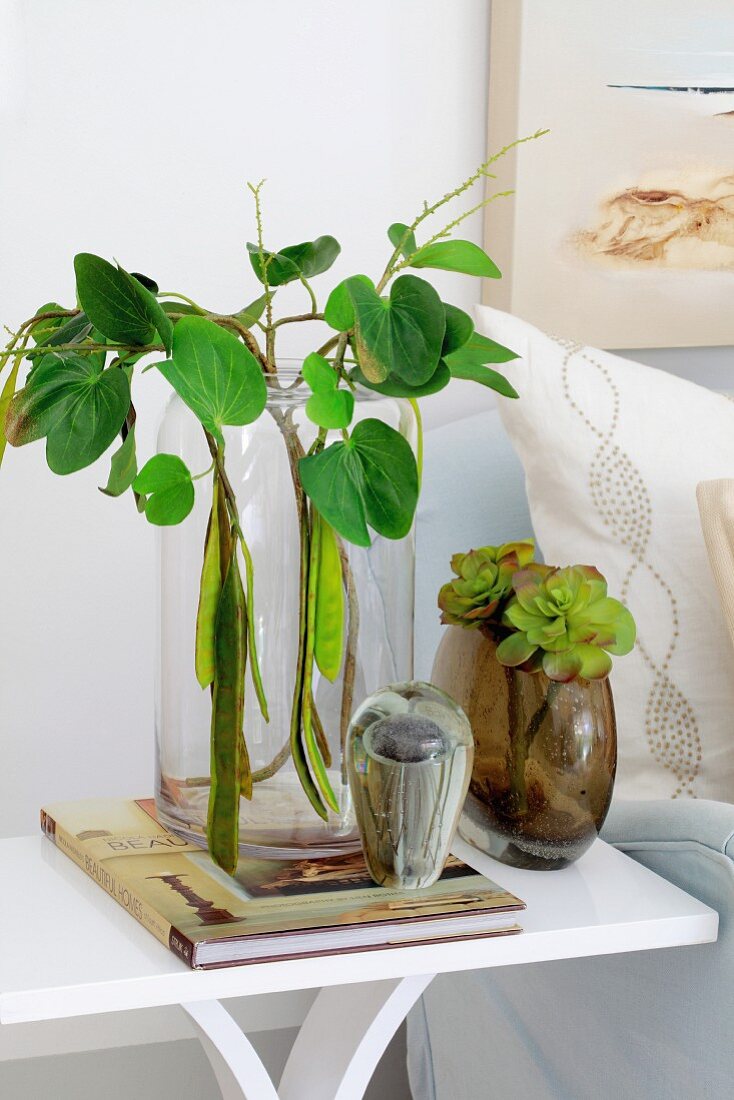 Grüne Pflanzen in verschiedenen Vasen auf weißem Beistelltisch