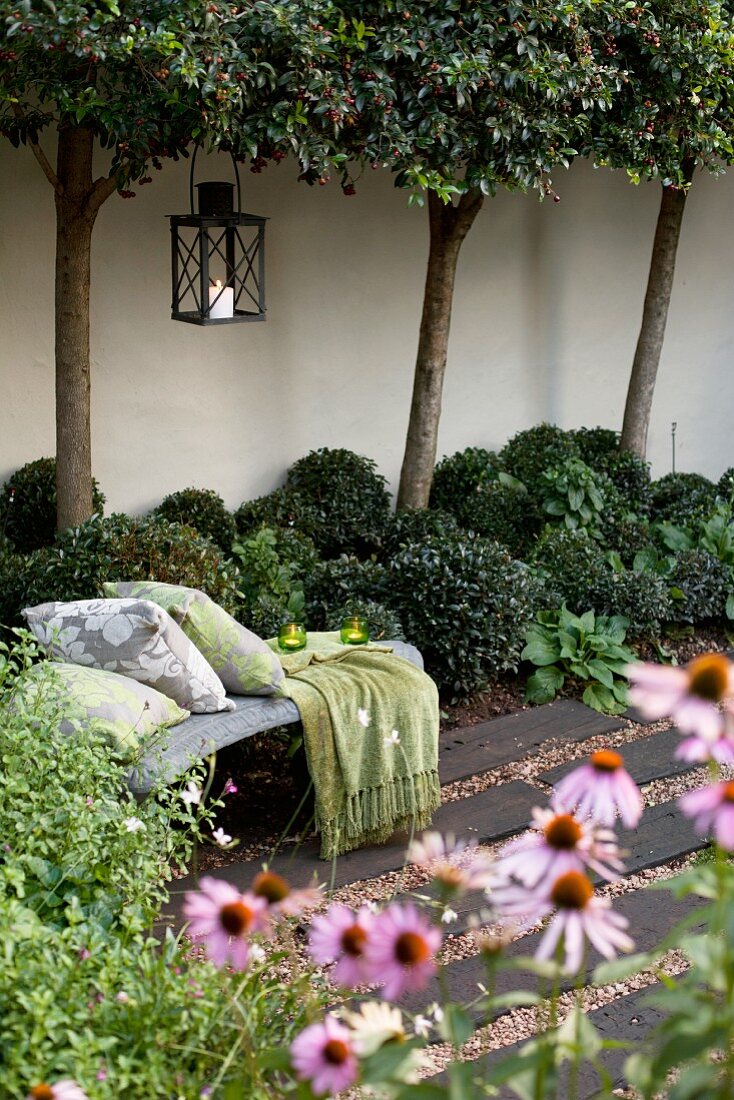 Blick über Echinacea auf Bank mit Kissen im Innenhof, vor Mauer Bäume in Reihe