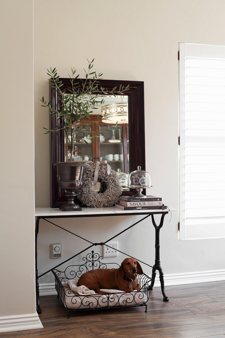 Wandtisch im Jugendstil mit antiker Vase und Olivenbäumchen, auf Boden Dackel in Vintage Metall Hundekorb