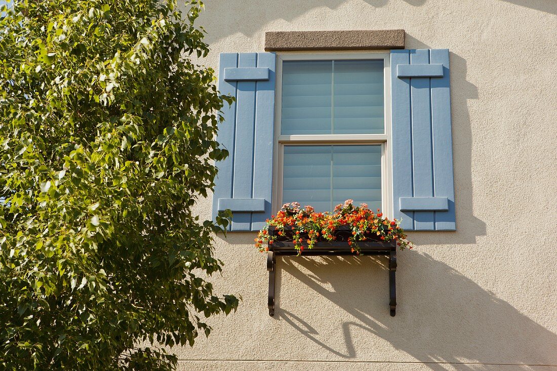 Window with window box and shutters