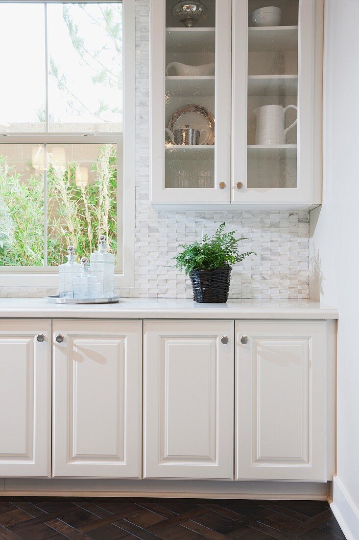 White cabinets and glass cabinet with potted plant on counter top; Irvine; California; USA