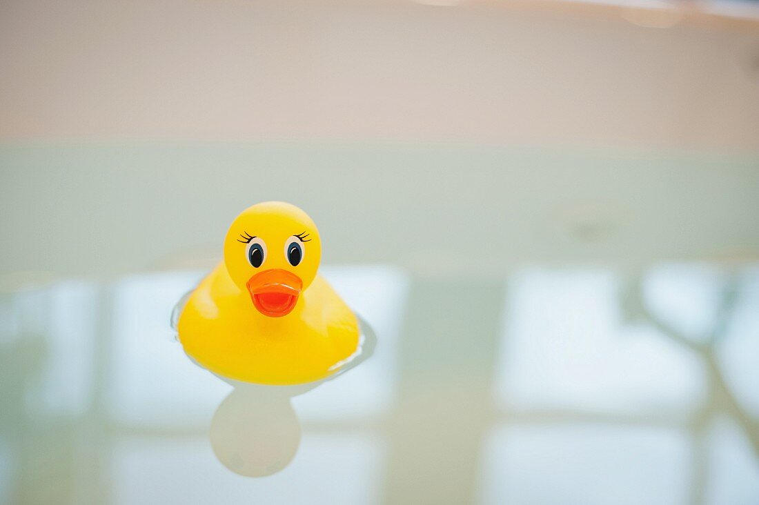 Close-up of a rubber duck in bathtub water against blurred background