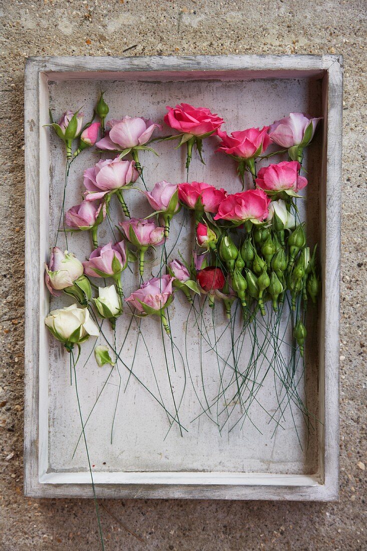 Roses of various colours arranged in vintage crate hanging on stone wall