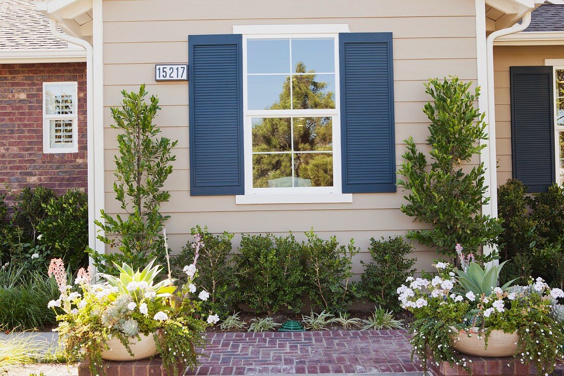 Bepflanzter Gehweg entlang Hauswand mit Sprossenfenstern & blauen Fensterläden