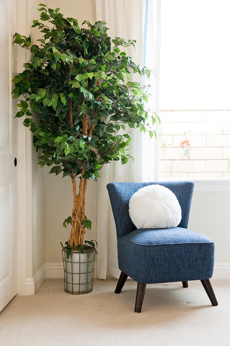Upholstered chair with potted plant by window