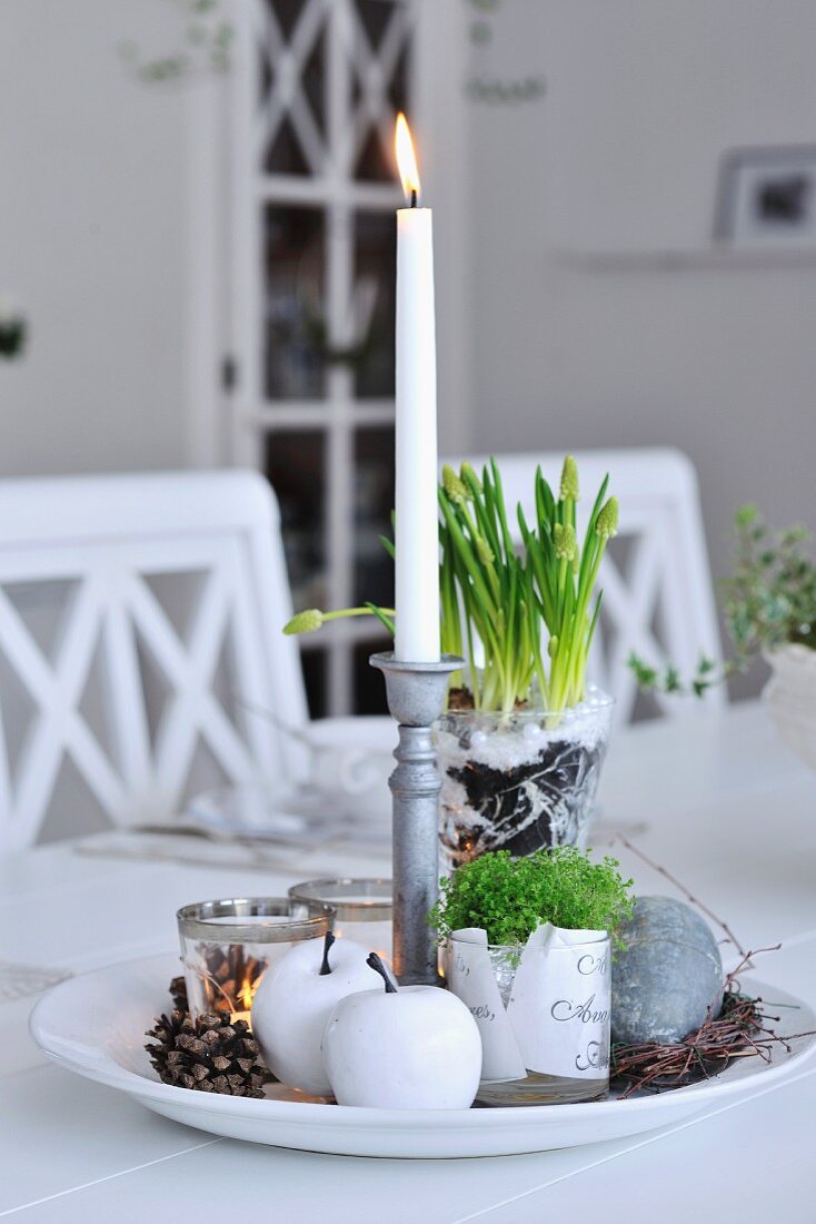 Winter arrangement on plate with lit candle and grape hyacinths