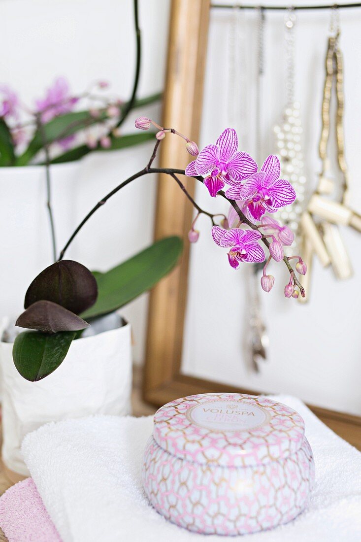 Orchidee und Kosmetikdose auf Handtuchstapel; aufgehängter Schmuck im Hintergrund
