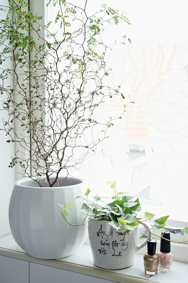 Grünpflanze im Übertopf und beschriftete Tasse mit Efeu am Badezimmerfenster