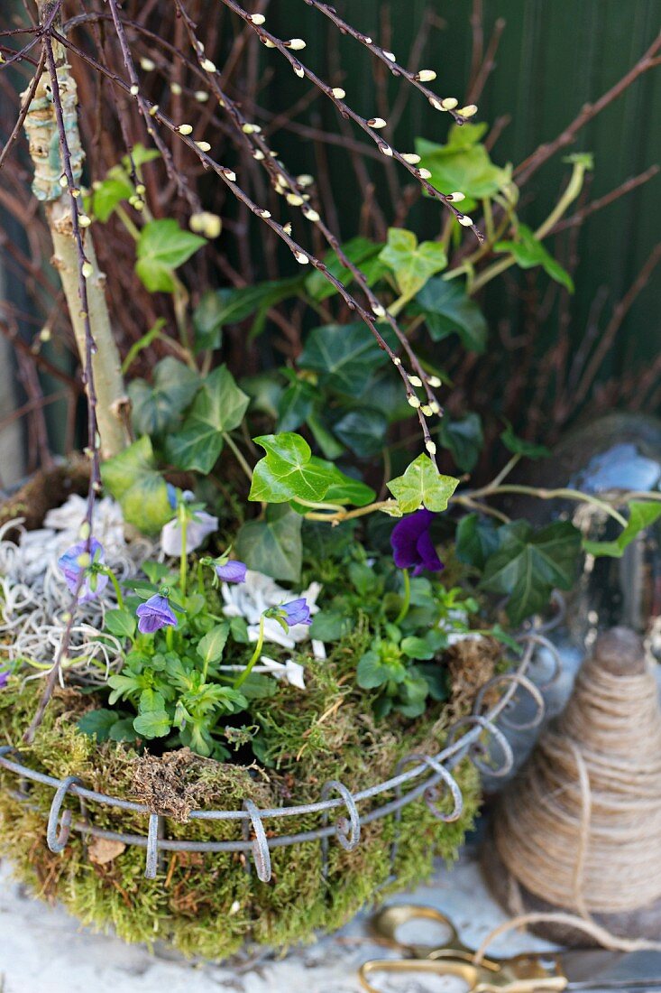 Spring arrangement of pussy willow and ivy in wire basket of moss