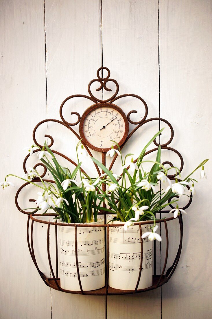 Two hand-crafted vases of snowdrops in metal basket hung on wall
