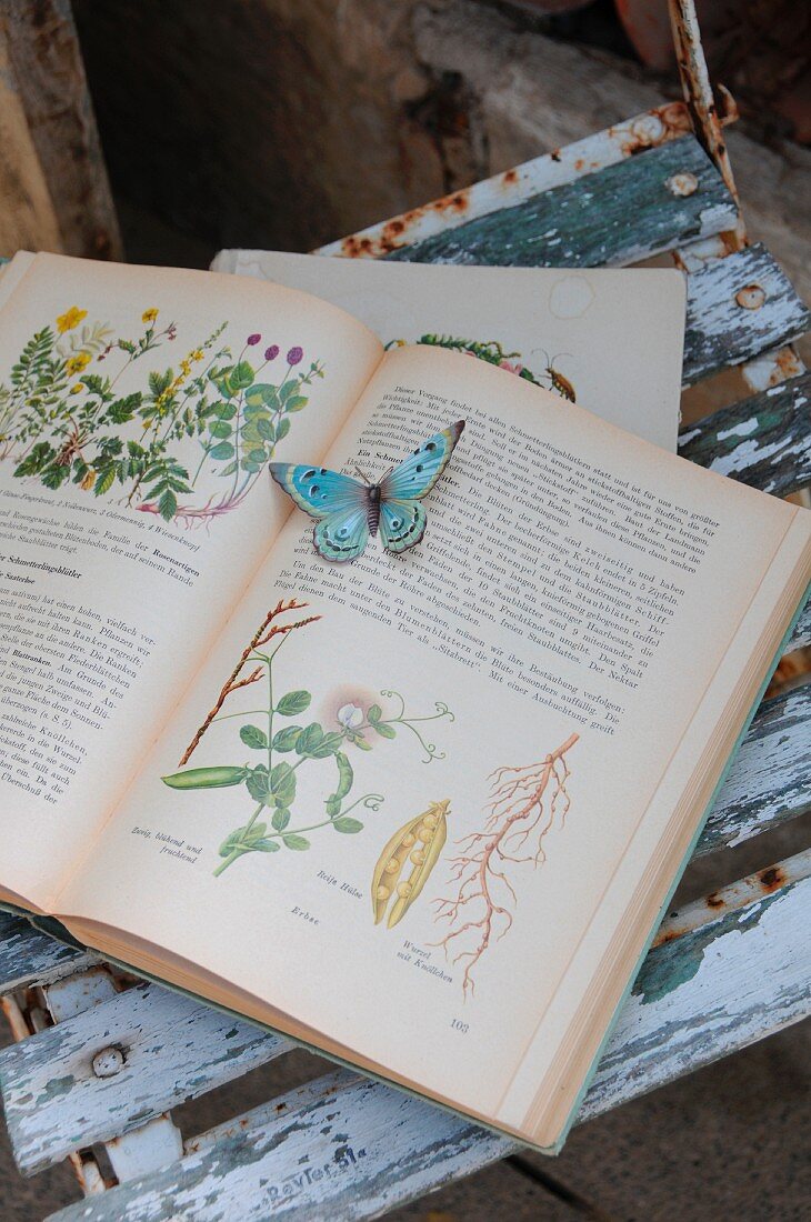 Antiquarian plant book with paper butterfly