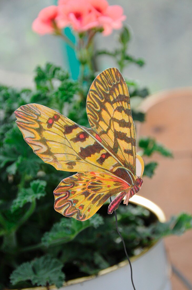 Mit Masking Tape auf Draht geklebter Papier-Schmetterling als Deko vor einer Geranienpflanze