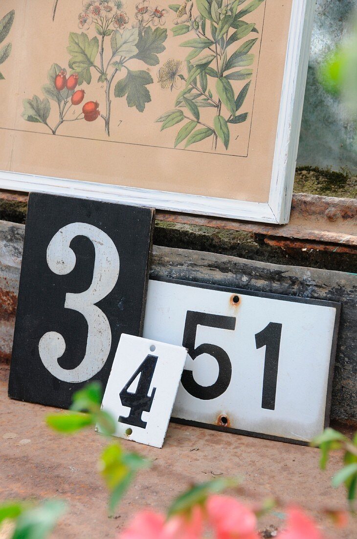 Altes Ziffernschild, Zahlentafel und emaillierte Hausnummer arrangiert unter gerahmter, antiquarischer Pflanzendarstellung