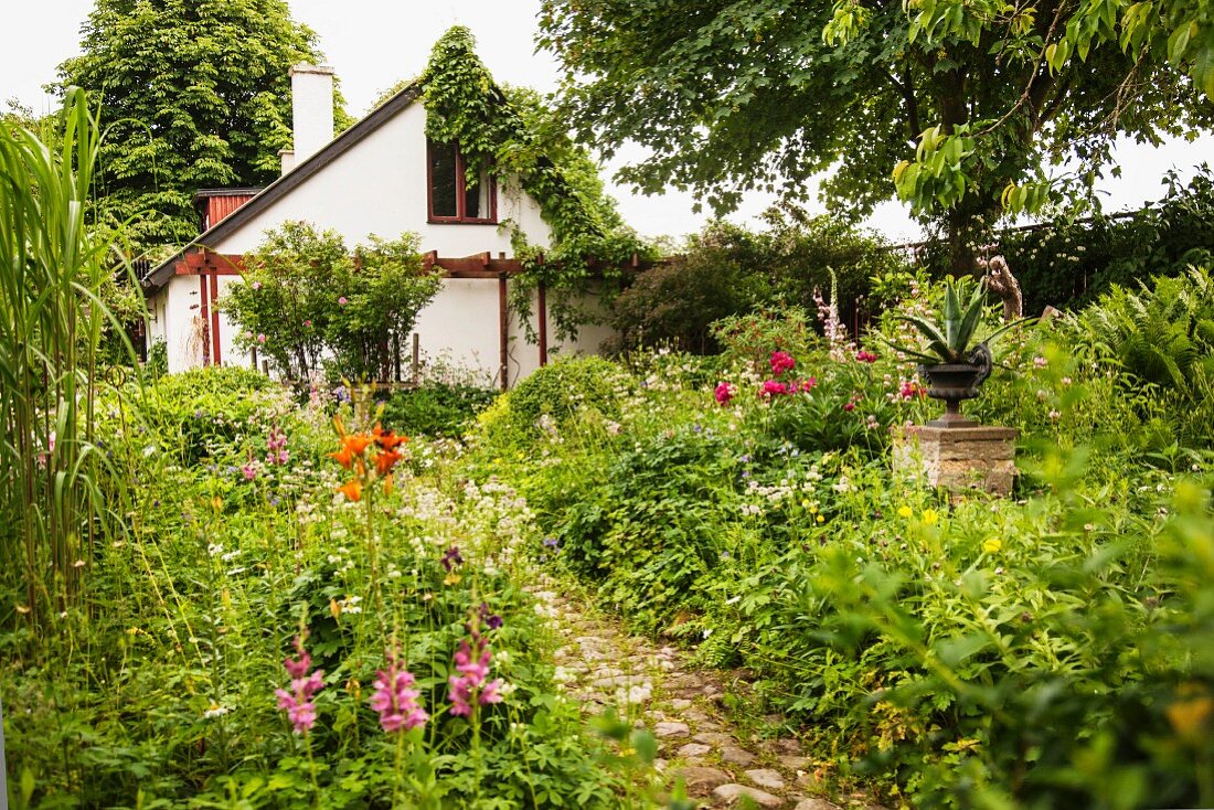 Paved path leading through flowering garden to simple house with climbing plants on facade