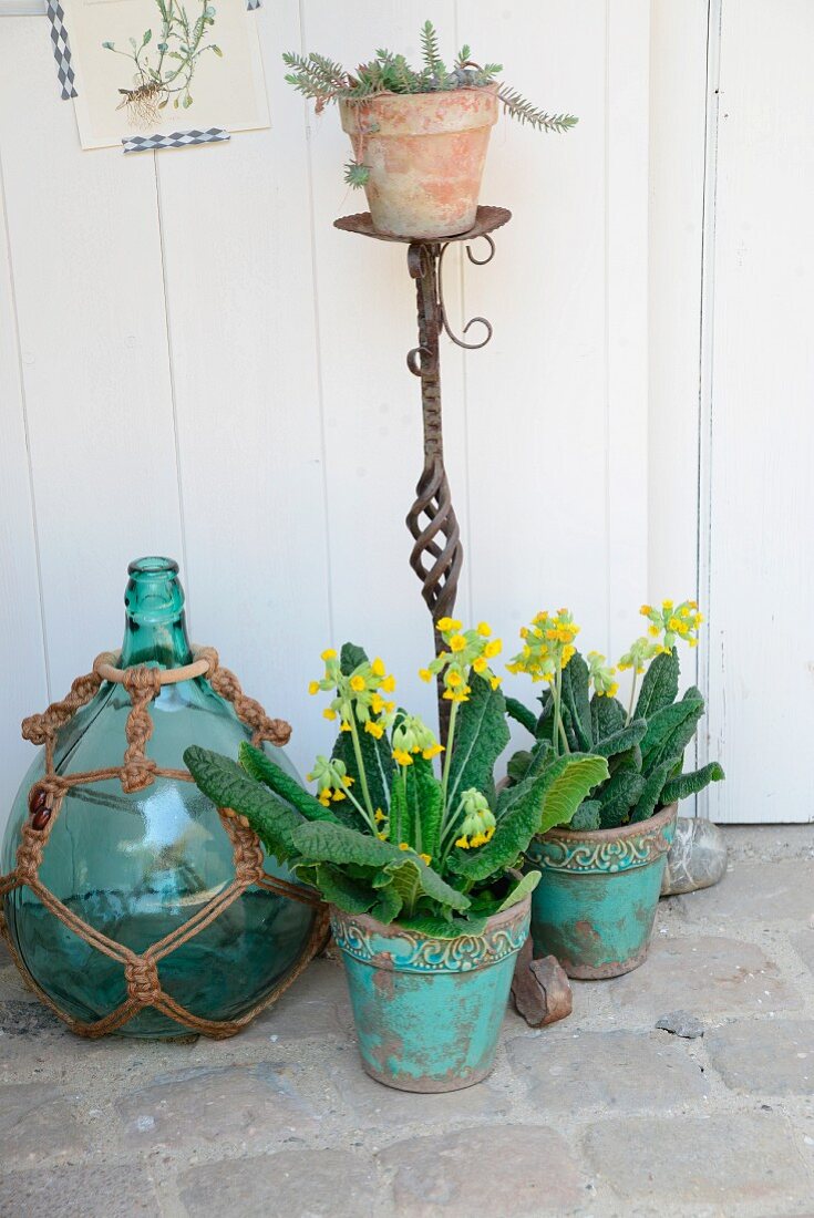 Cowslips in turquoise flowerpots next to old blue bottle in macramé net in front of antique, iron plant stand with sempervivum in terracotta pot
