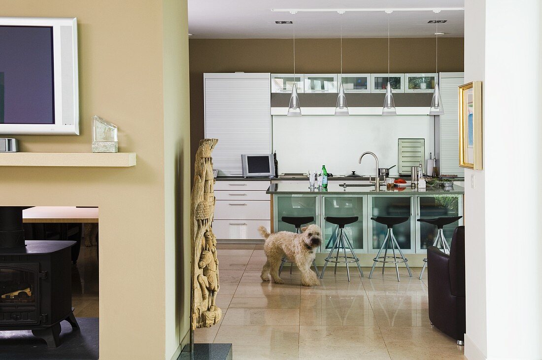 Dog in open-plan kitchen with sand-coloured walls and bar stools with black shell seats at counter with glass doors on base units