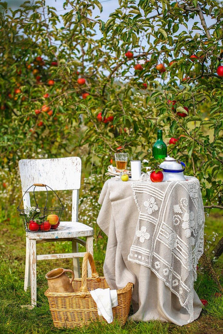 Summery atmosphere with set table in garden in front of apple trees