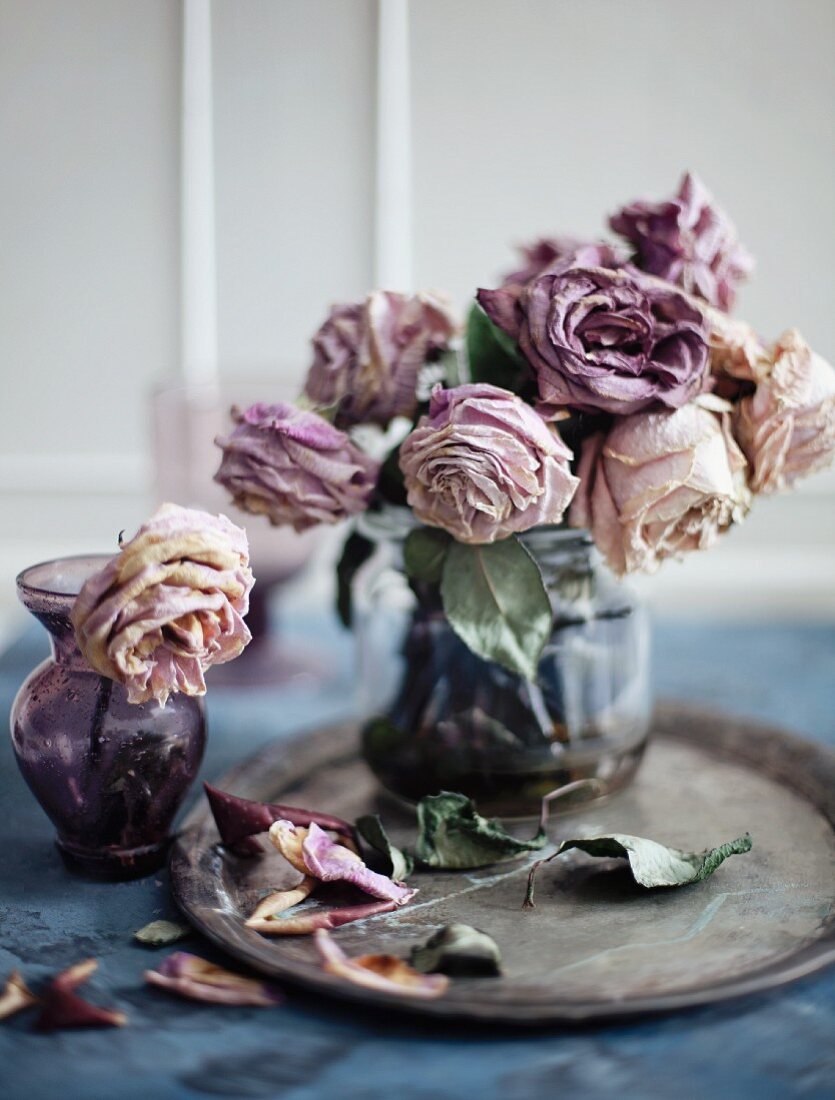 Verwelkte lila Rosen in zwei Vasen