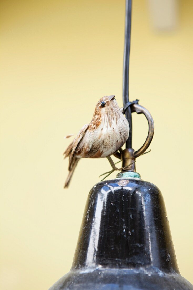 Dekovogel auf schwarzer Retro Pendelleuchte