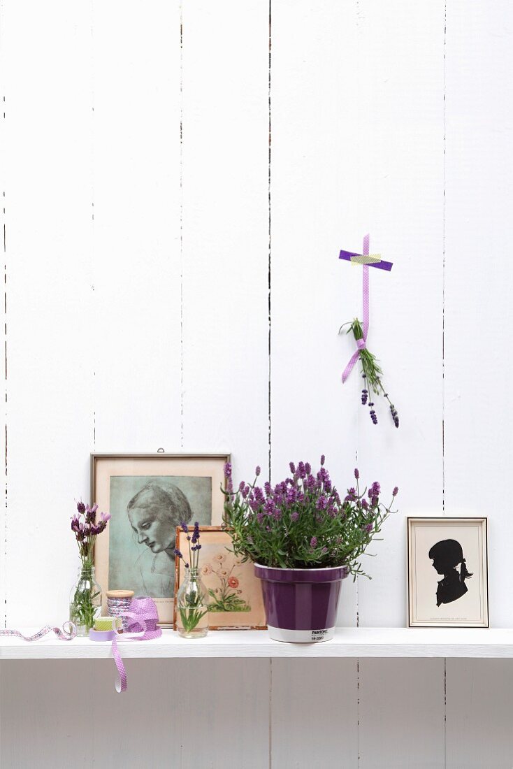 Lavendel im Blumentopf zwischen Zeichnung und Scherenschnitt auf Ablage