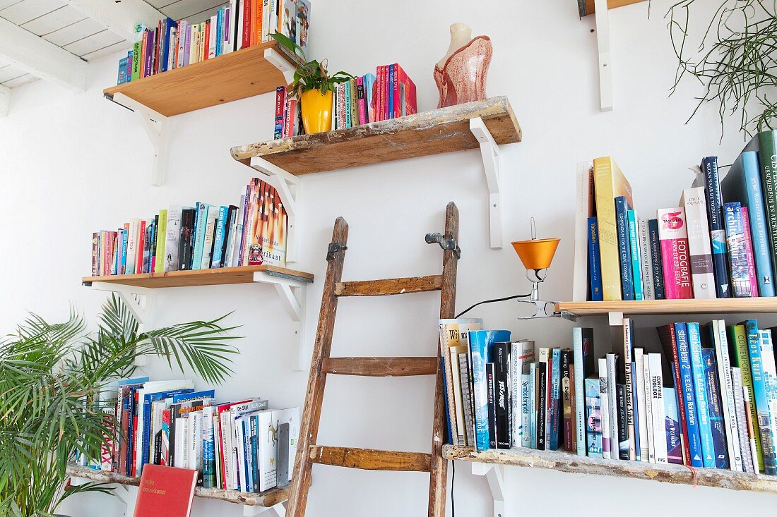 Bücherregale an weisser Wand und Holzleiter