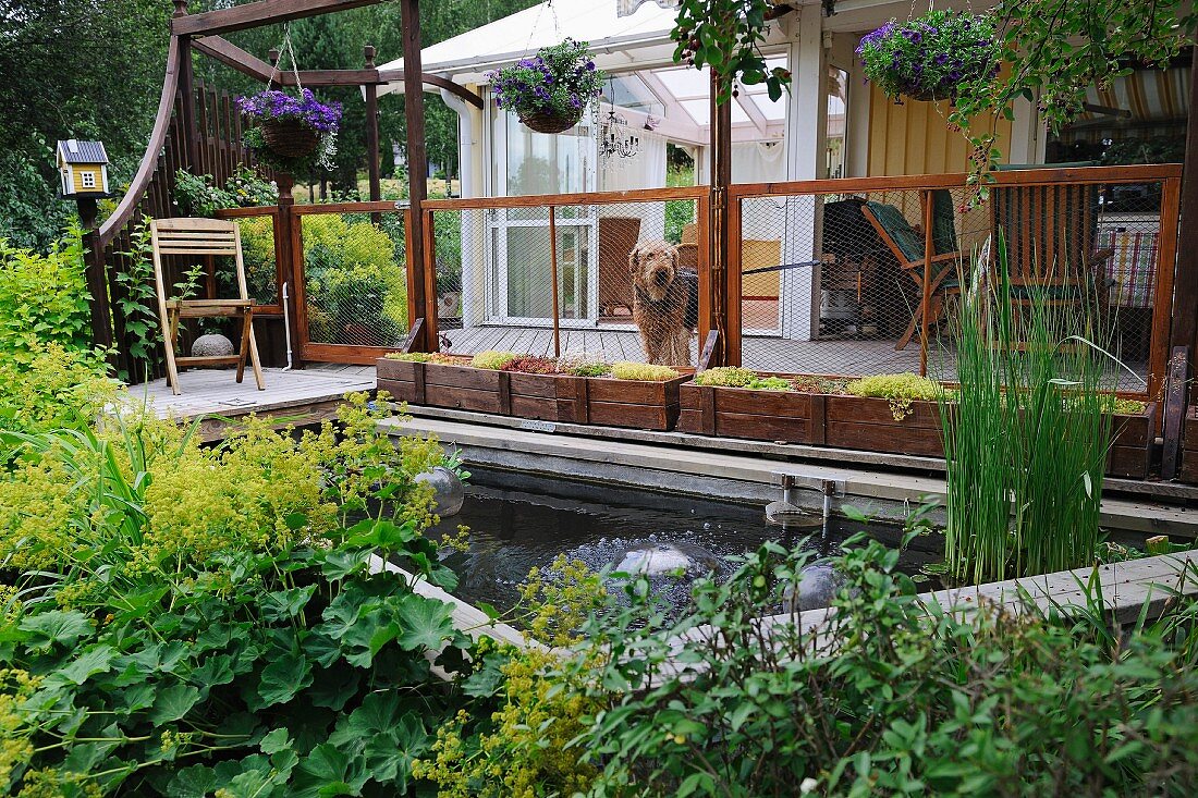Teich vor Terrasse mit bepflanzten Holzkästen und Hund, vorne ein Staudenbeet