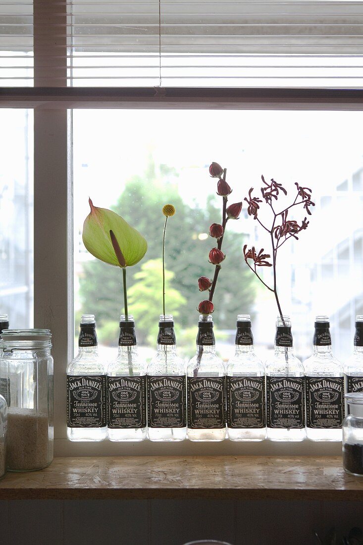 Row of repurposed whiskey bottles holding various flowering branches on windowsill