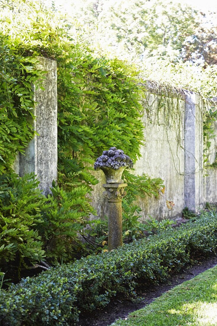 Pflanzgefäss auf Steinstele zwischen niedrigem Heckenstreifen und berankter Gartenmauer