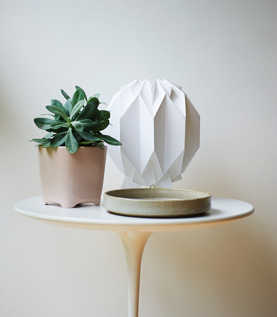 Potted plant and table lamp on small Tulip side table