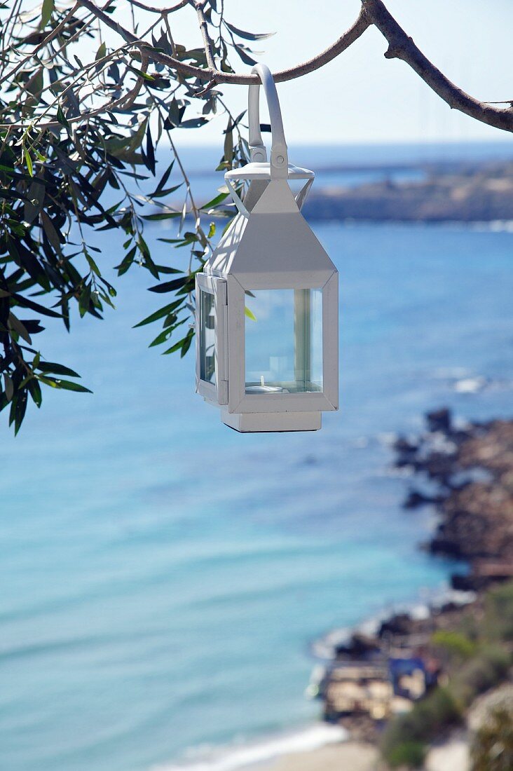 weiße Laterne auf Baum gehängt, im Hintergrund Blick auf Meeresküste