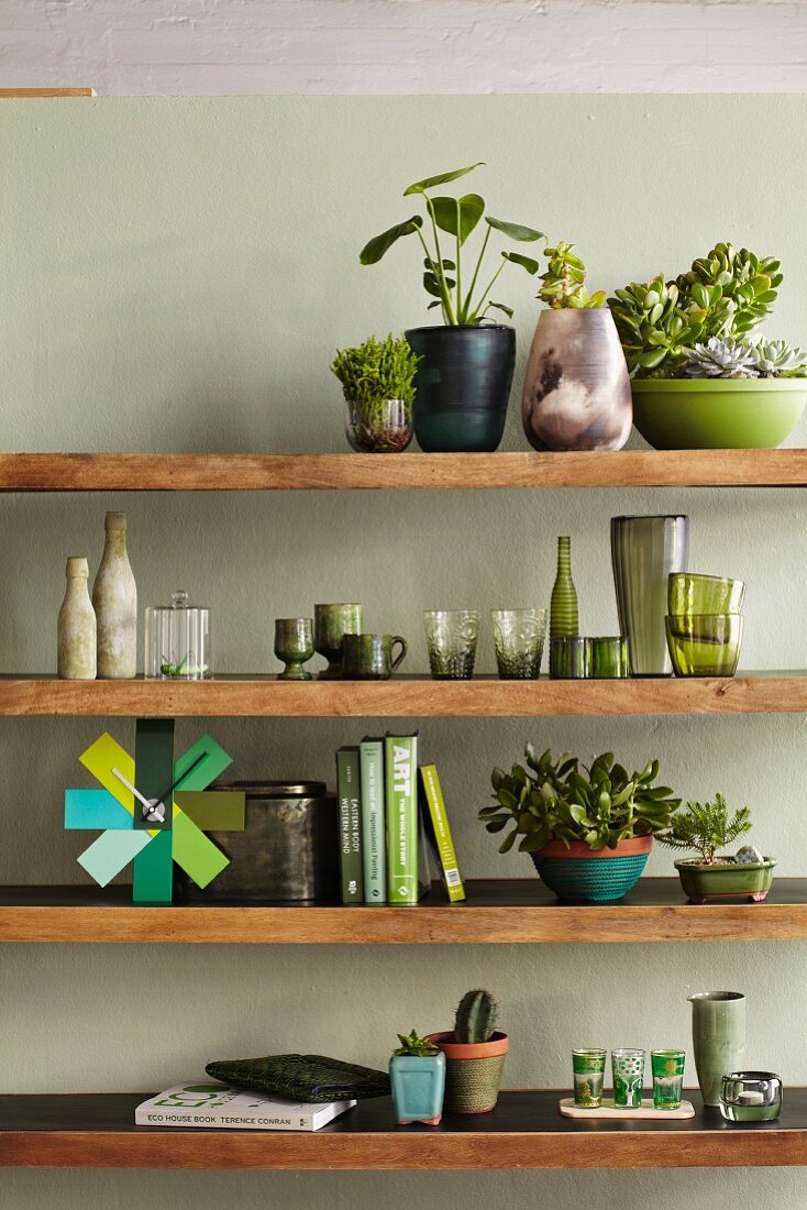 Holz Ablagen mit Grünpflanzen, Geschirr und Dekowaren in verschiedenen Grüntönen, an pastellgrüner Wand