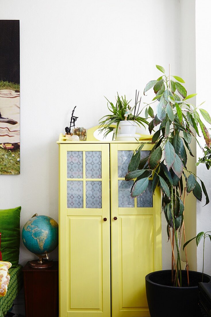 Grosse Zimmerpflanze vor gelbem Retro Schrank mit Glasfüllung