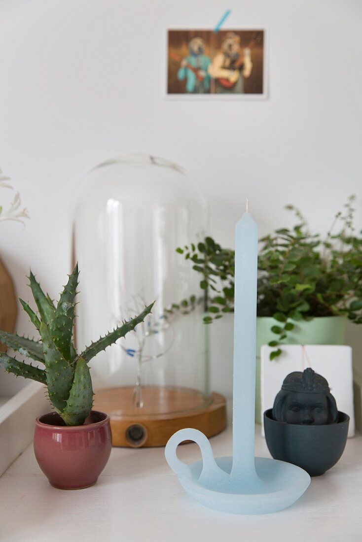 Stillleben mit Kerzenhalter und Kerze aus einem Guss, seitlich Kaktus vor Behälter aus Glashaube