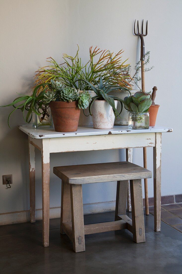 Pflanzentöpfe auf schlichtem Holztisch und rustikaler Holzhocker vor Wand im Vintagelook