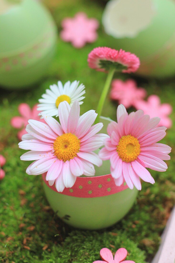 Daisies and ox-eye daisies in green-dyed egg shell decorated with polka-dot ribbon on moss