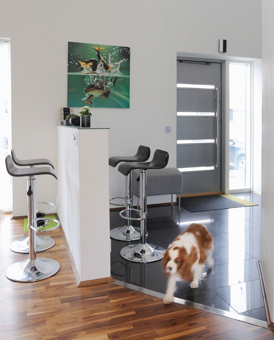Minimalist counter and bar stools; dog in open-plan foyer in modern interior