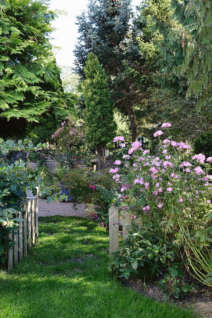 Rustic, summery garden with open garden gate