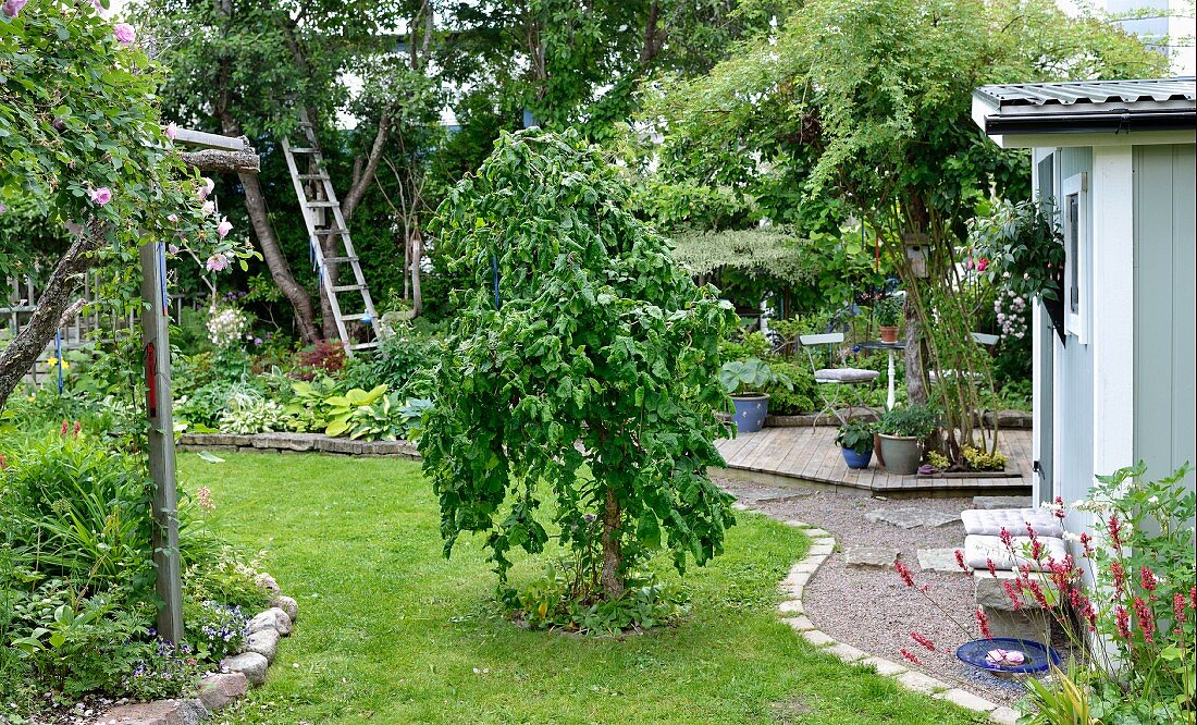 Sommerlicher Garten mit Kiesweg, kleiner Terrassenplatz hinter Gartenhäuschen
