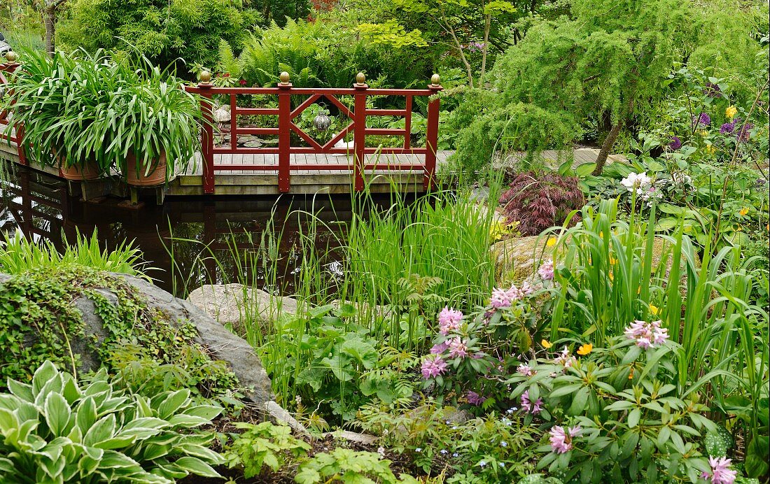 Wooden bridge with Oriental balustrade over pond with densely planted margins