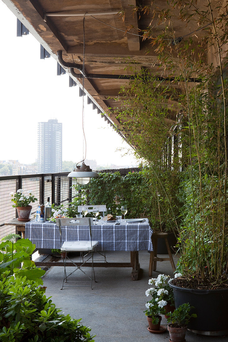 Tisch mit schwarz-weiß karierter Tischdecke und Kübelpflanzen auf Veranda mit Stadtblick