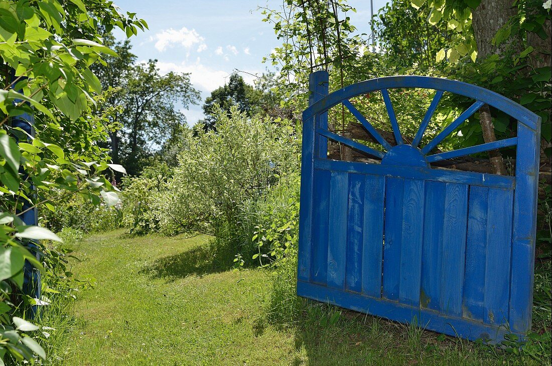 Blaues, offenes Vintage Holztor in sommerlichem Garten