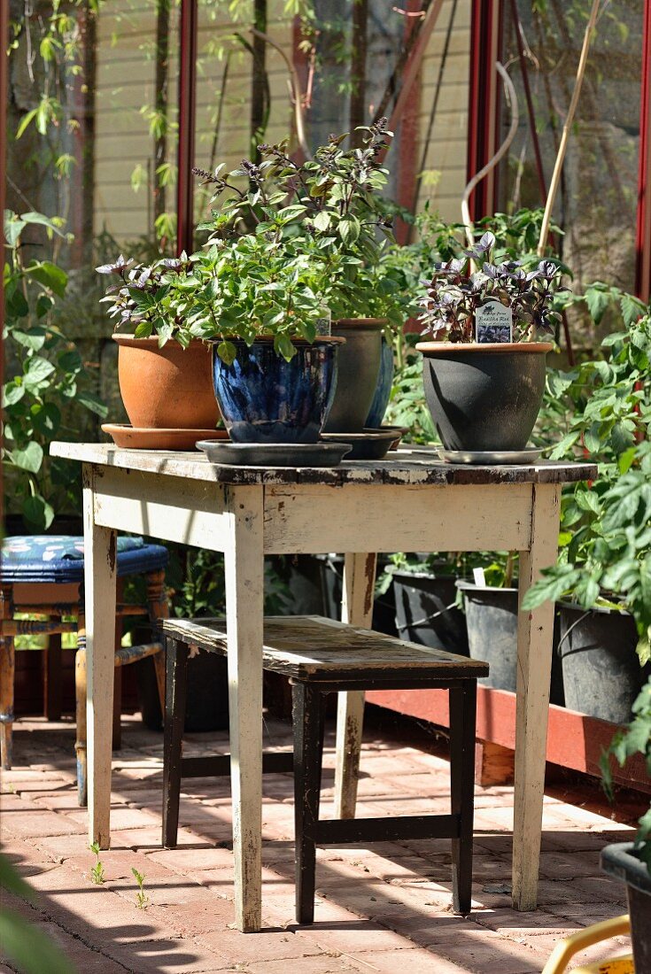 Potted herbs on vintage garden table