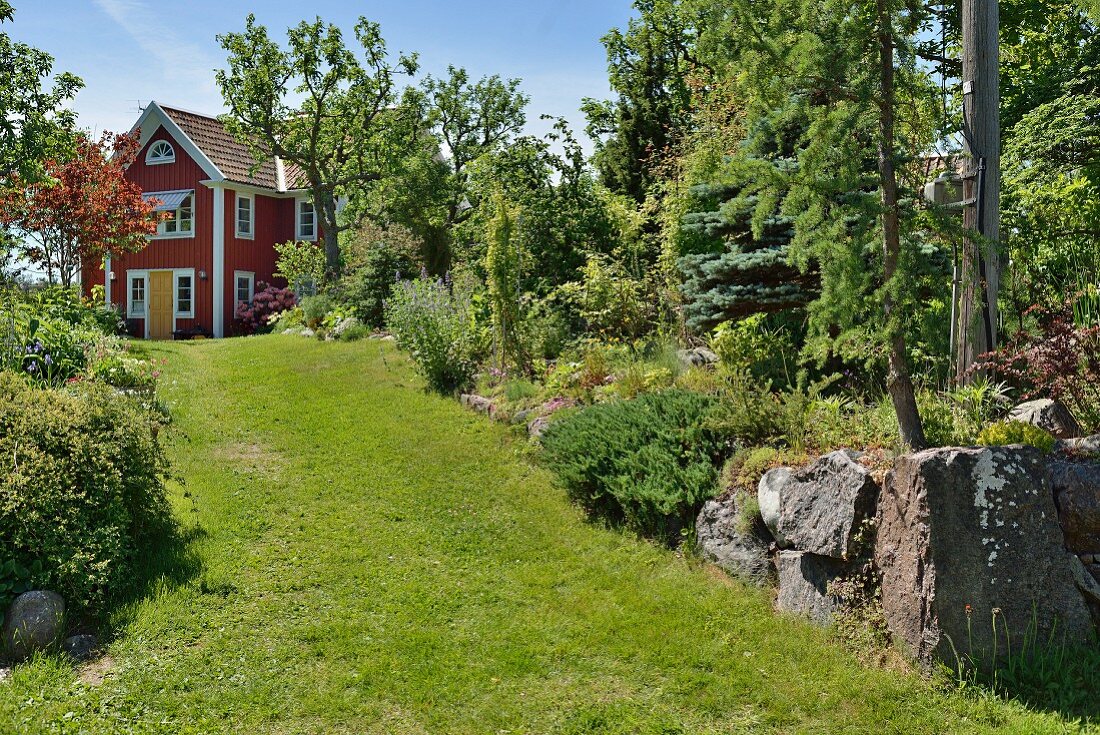 Breiter Rasenweg in sommerlichem Garten, im Hintergrund rotbraun gestrichenes Holzhaus