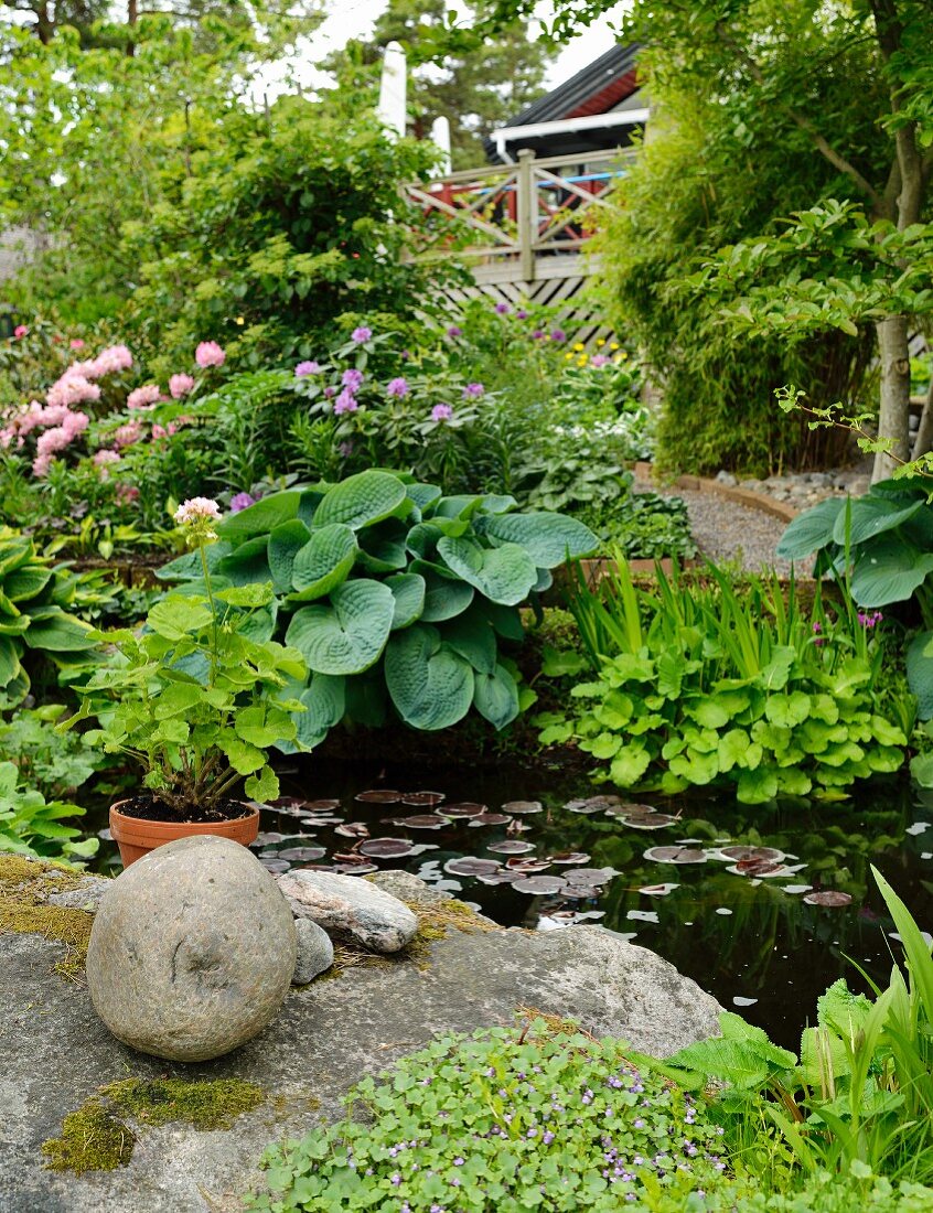 Lily pond with boulders on shore and margins planted with a wide variety of plants